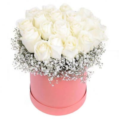 КОМПОЗИЦИЯ "ЛЕГКОСТЬ"