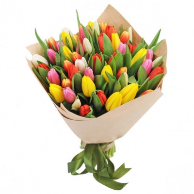 51 Тюльпан с оформлением