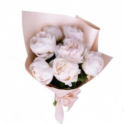 7 пионов с оформлением 