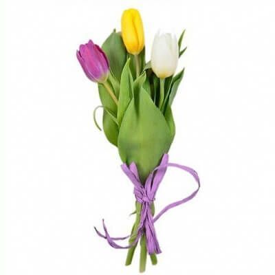 БУКЕТ ИЗ 3 ТЮЛЬПАНОВ