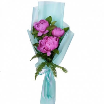 3 пиона с оформлением