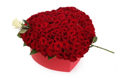 КОМПОЗИЦИЯ "100 И 1 РОЗА"